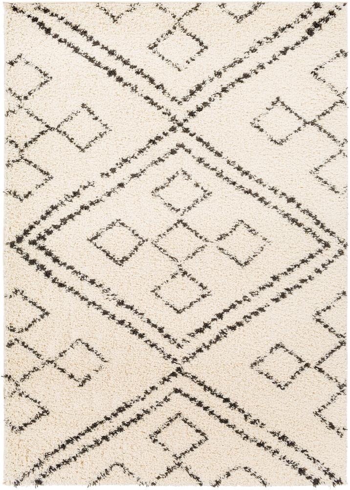 Livabliss - Beni Shag 67inx9 Machine Woven Rug - BSH2331-679_CLOSEOUT veiw 1