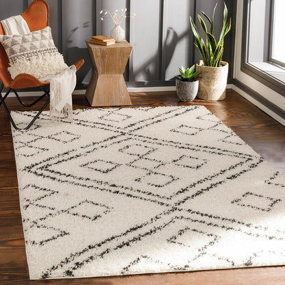Livabliss - Beni Shag 67inx9 Machine Woven Rug - BSH2331-679_CLOSEOUT veiw 2