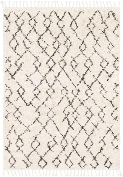 Livabliss - Berber Shag 53inx73in Machine Woven Rug - BBE2301-5373 veiw 1