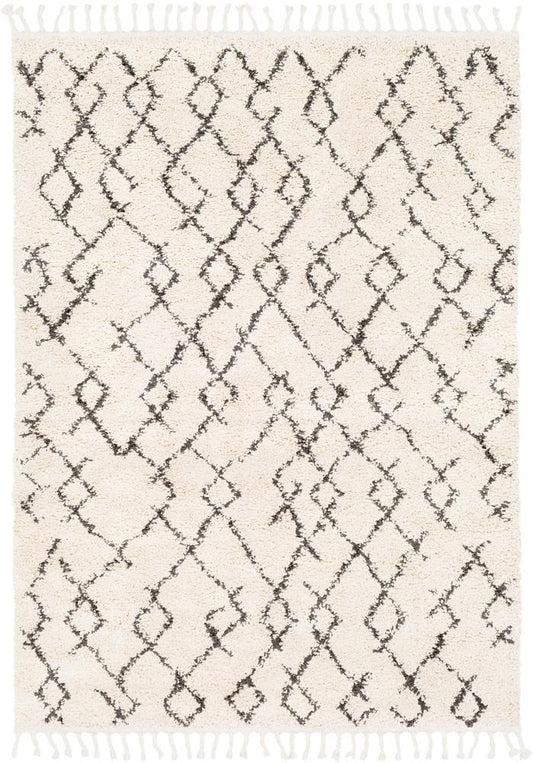 Livabliss - Berber Shag 53inx73in Machine Woven Rug - BBE2301-5373 veiw 1