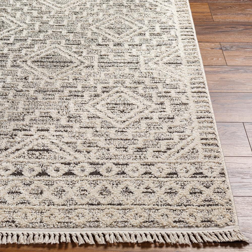 Livabliss - Berlin 27inx73in Machine Woven Rug - BLR2300-2773_CLOSEOUT veiw 5