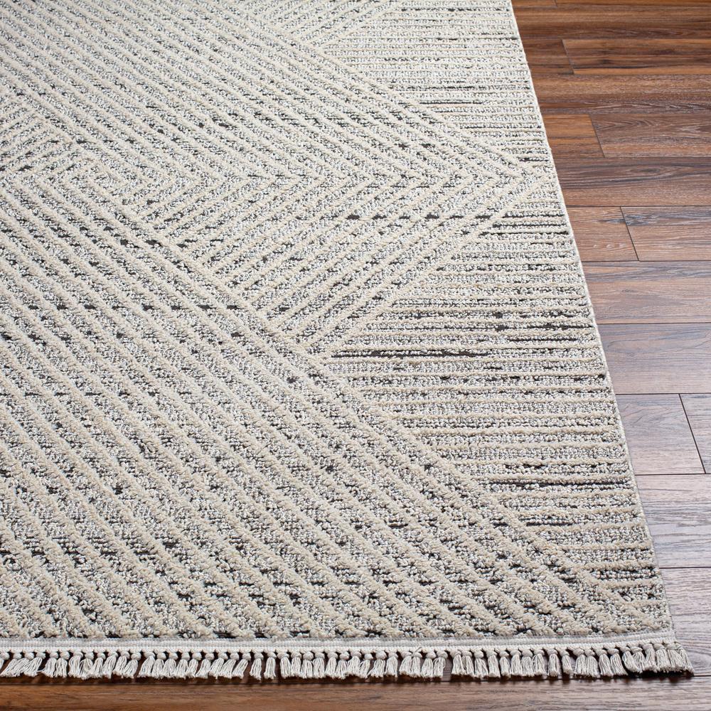 Livabliss - Berlin 27inx73in Machine Woven Rug - BLR2302-2773 veiw 4