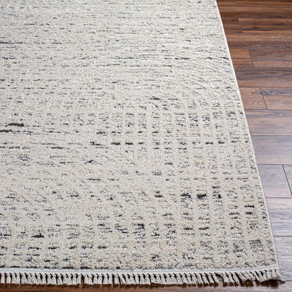 Livabliss - Berlin 67inx9 Machine Woven Rug - BLR2303-679 veiw 5