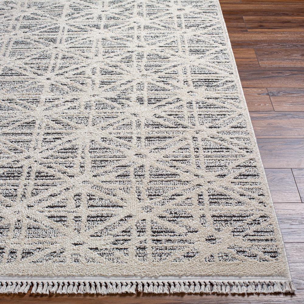 Livabliss - Berlin 710inx10 Machine Woven Rug - BLR2304-71010_CLOSEOUT veiw 5