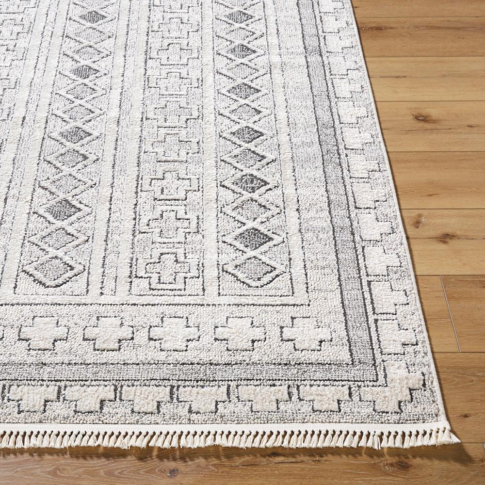 Livabliss - Berlin 53inx7 Machine Woven Rug - BLR2313-537 veiw 4