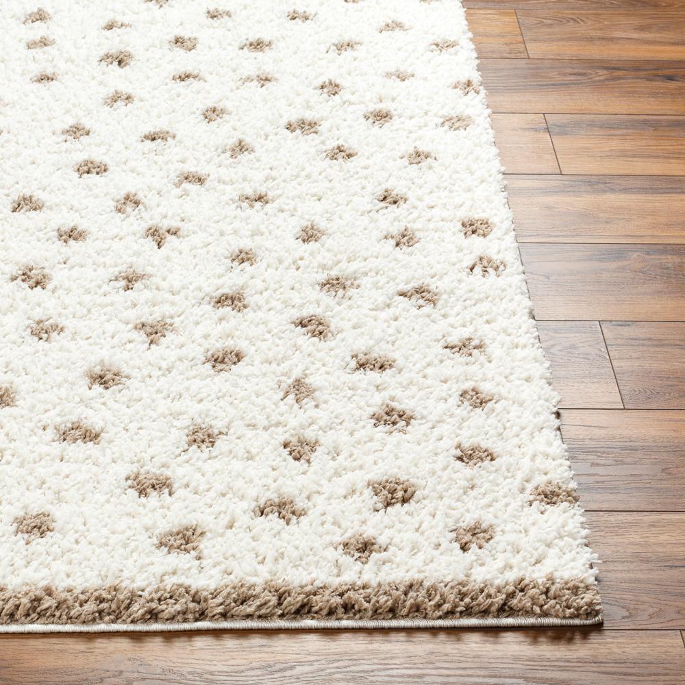 Livabliss - Birmingham 67inx9 Machine Woven Rug - BMM2303-679 veiw 4