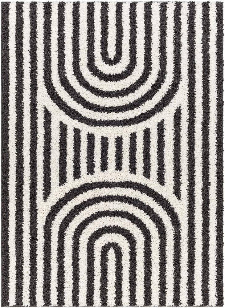 Livabliss - Birmingham 53inx7 Machine Woven Rug - BMM2304-537 veiw 1