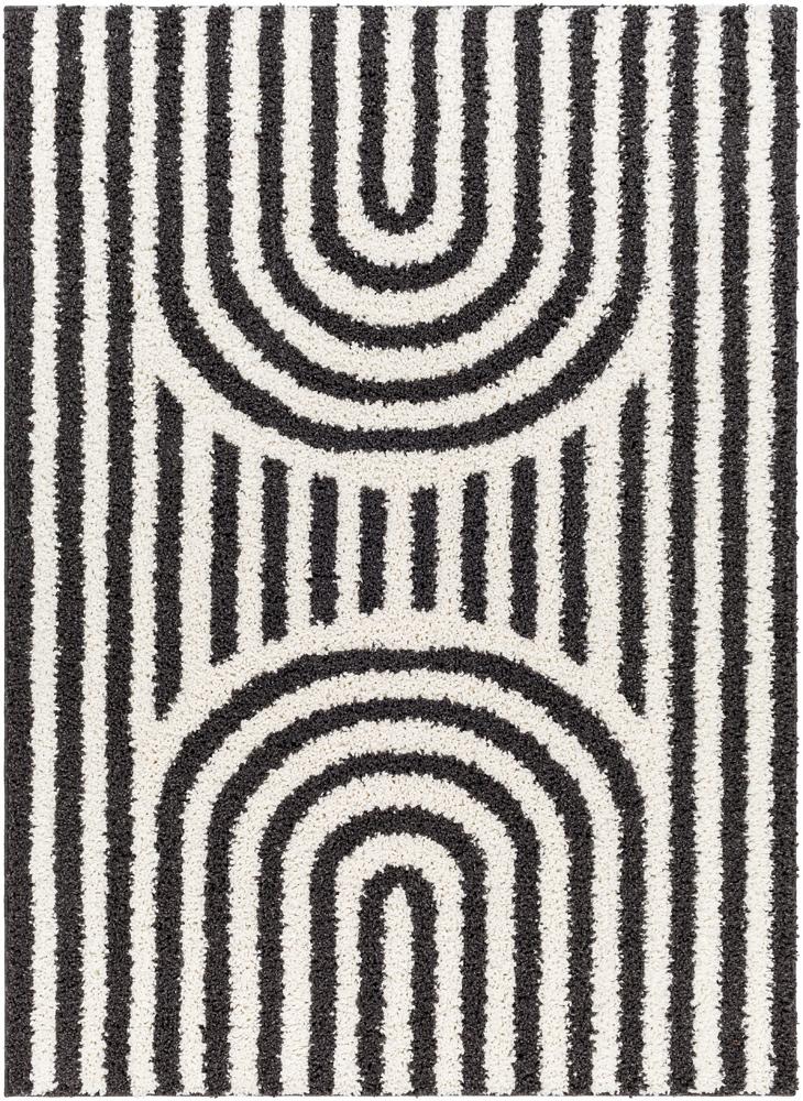 Livabliss - Birmingham 67inx9 Machine Woven Rug - BMM2304-679 veiw 1