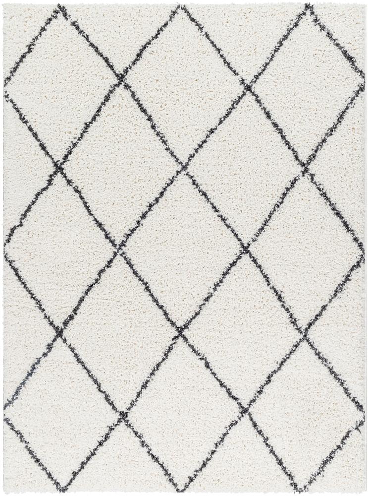 Livabliss - Birmingham 53inx7 Machine Woven Rug - BMM2318-537 veiw 1