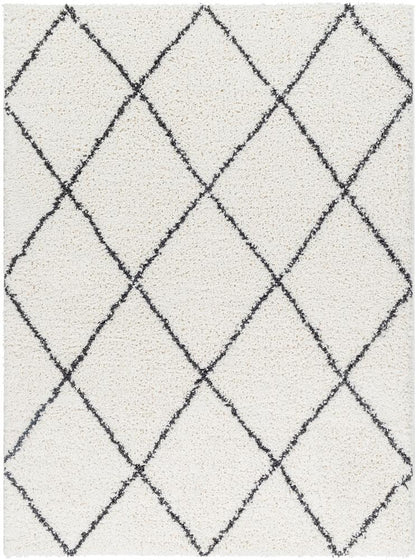Livabliss - Birmingham 53inx7 Machine Woven Rug - BMM2318-537 veiw 1