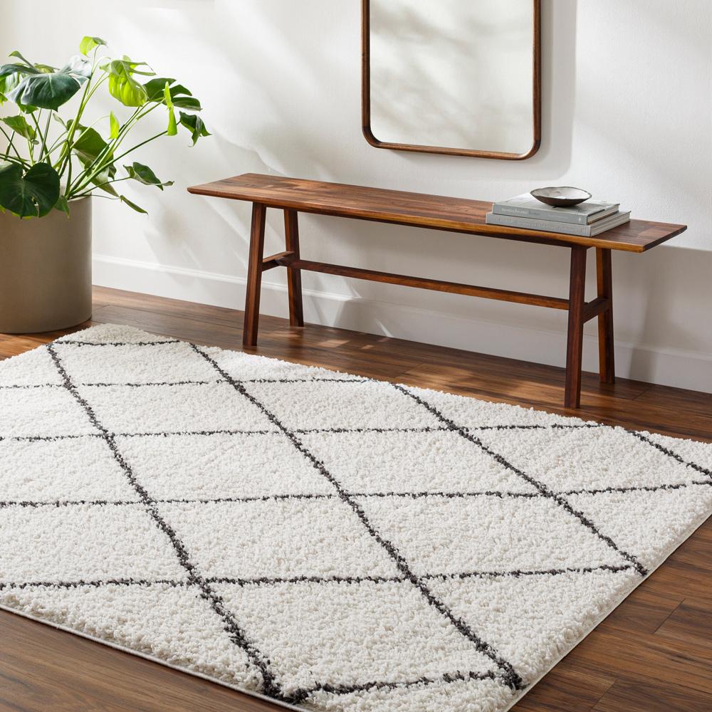 Livabliss - Birmingham 53inx7 Machine Woven Rug - BMM2318-537 veiw 2