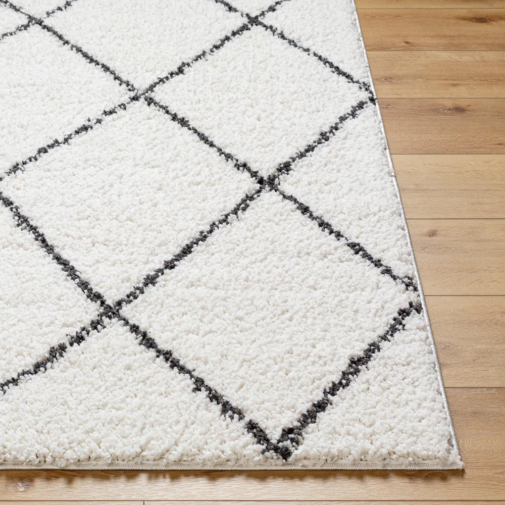 Livabliss - Birmingham 53inx7 Machine Woven Rug - BMM2318-537 veiw 4