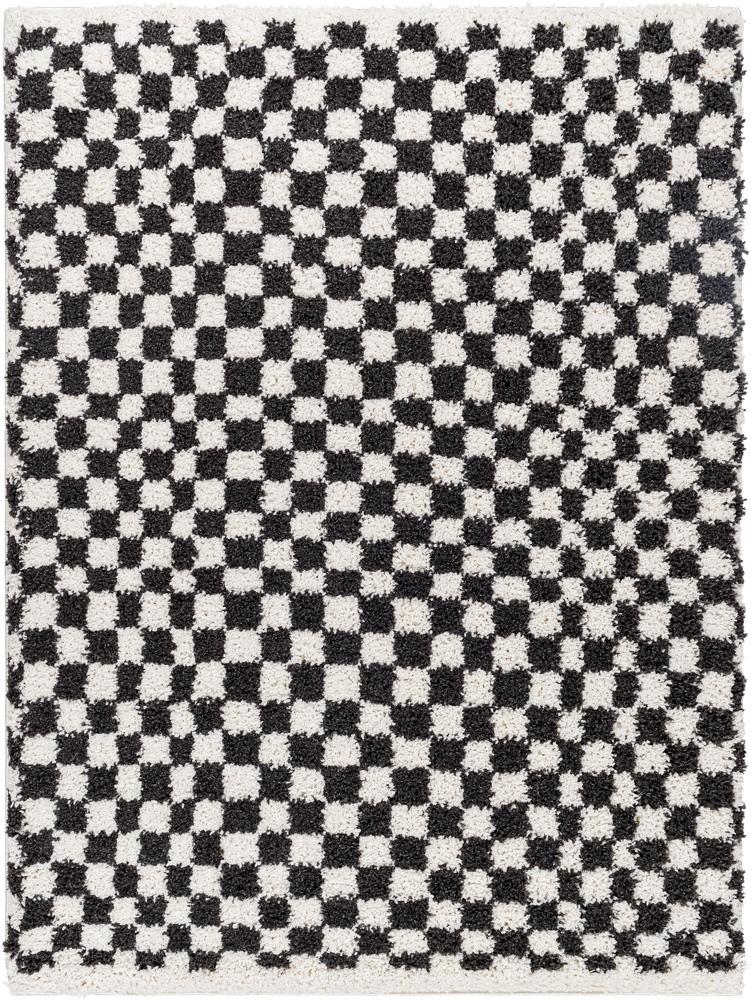 Livabliss - Birmingham 53inx7 Machine Woven Rug - BMM2319-537 veiw 1
