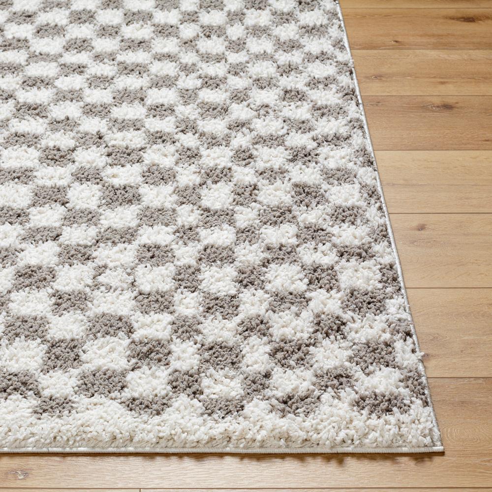 Livabliss - Birmingham 67inx9 Machine Woven Rug - BMM2321-679 veiw 4