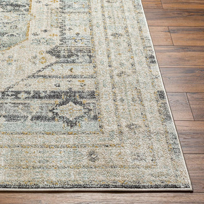 Livabliss - Bitlis 53inx7 Machine Woven Rug - BSI2300-537_CLOSEOUT veiw 4