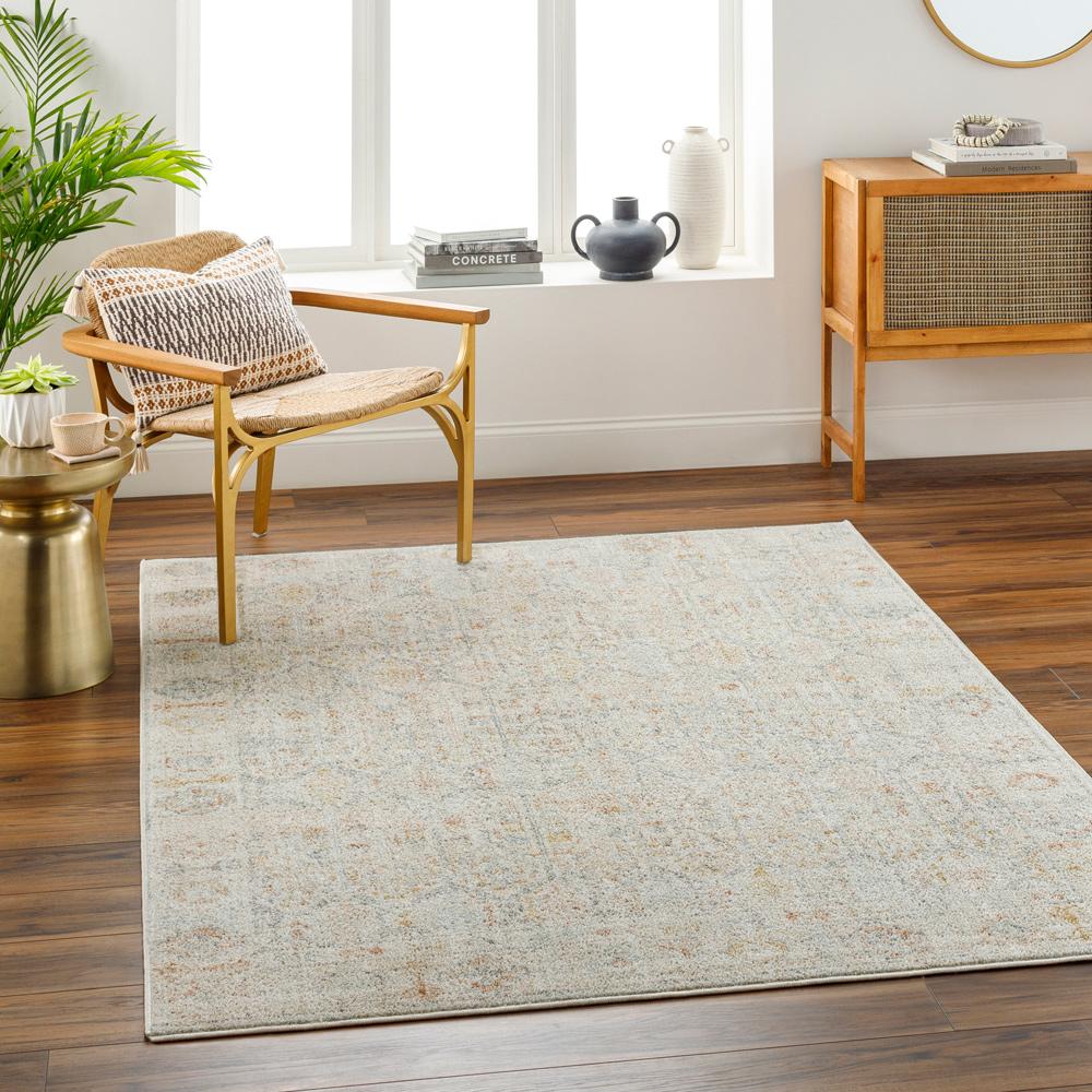 Livabliss - Bitlis 53inx7 Machine Woven Rug - BSI2305-537_CLOSEOUT veiw 2