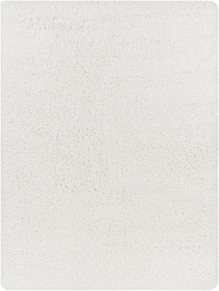 Livabliss - Bogota Shag 53inx7 Machine Woven Rug - BTG2300-537 veiw 1