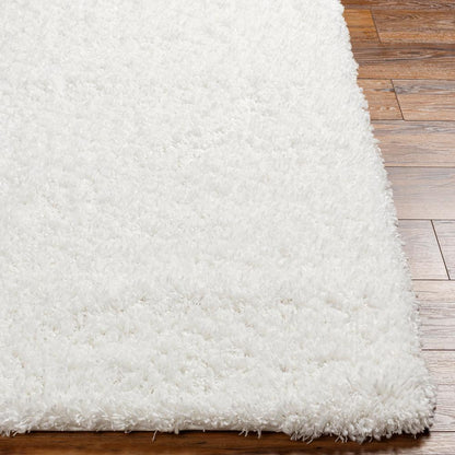 Livabliss - Bogota Shag 710inx10 Machine Woven Rug - BTG2300-71010 veiw 5