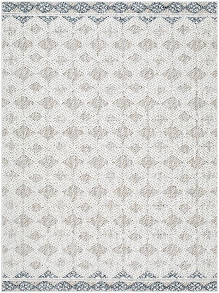 Livabliss - Bouclair 53inx7 Machine Woven Rug - BCR2308-537 veiw 1