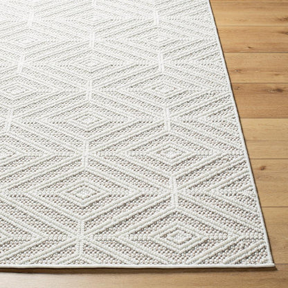 Livabliss - Bouclair 67inx9 Machine Woven Rug - BCR2317-679 veiw 4