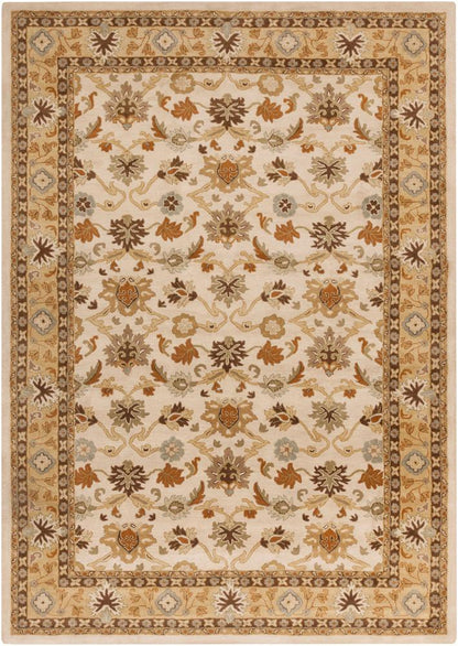 Livabliss - Caesar 10x14 Handmade Rug - CAE1010-1014 veiw 1