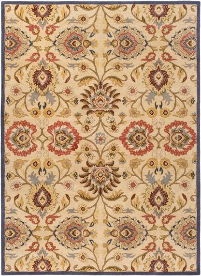 Livabliss - Caesar 10x14 Handmade Rug - CAE1116-1014 veiw 1