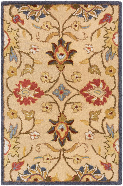 Livabliss - Caesar 2x3 Handmade Rug - CAE1116-23 veiw 1