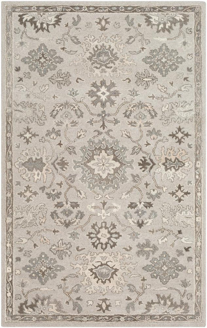 Livabliss - Caesar 12x18 Handmade Rug - CAE1197-1218 veiw 1