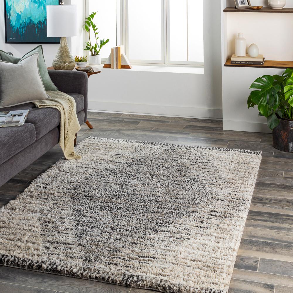 Livabliss - Capella Shag 67inx9 Machine Woven Rug - CPS2300-679_CLOSEOUT veiw 2