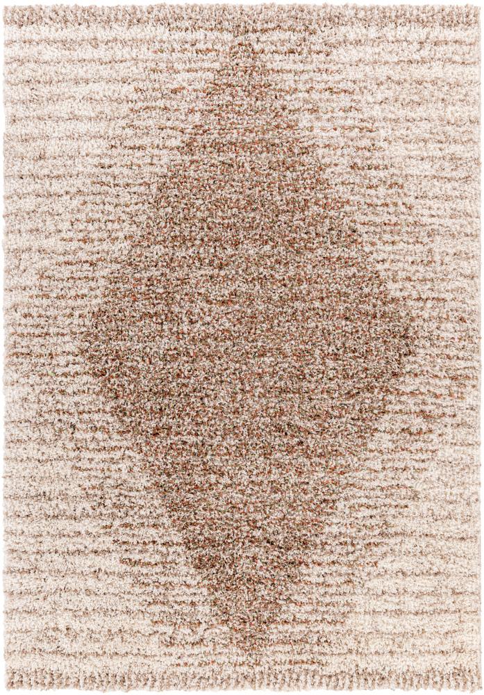 Livabliss - Capella Shag 67inx9 Machine Woven Rug - CPS2301-679_CLOSEOUT veiw 1