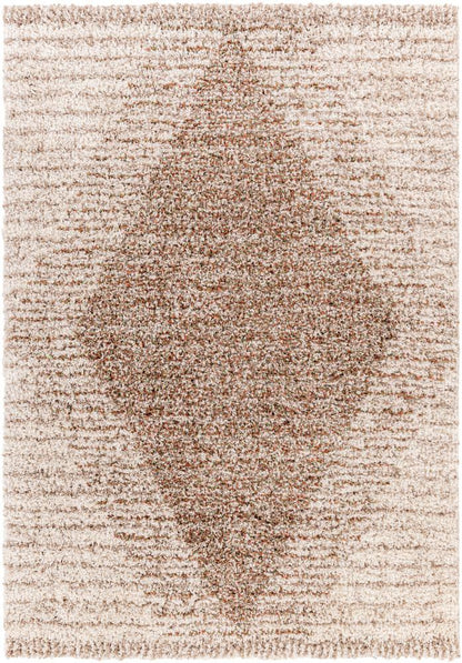 Livabliss - Capella Shag 67inx9 Machine Woven Rug - CPS2301-679_CLOSEOUT veiw 1