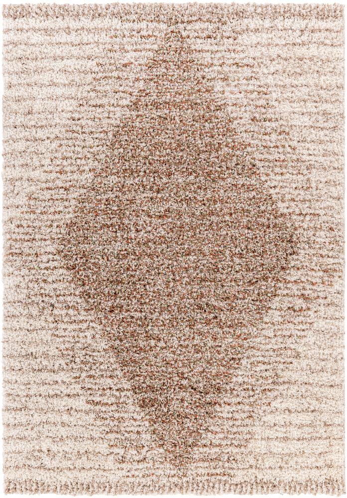 Livabliss - Capella Shag 710inx10 Machine Woven Rug - CPS2301-71010_CLOSEOUT veiw 1