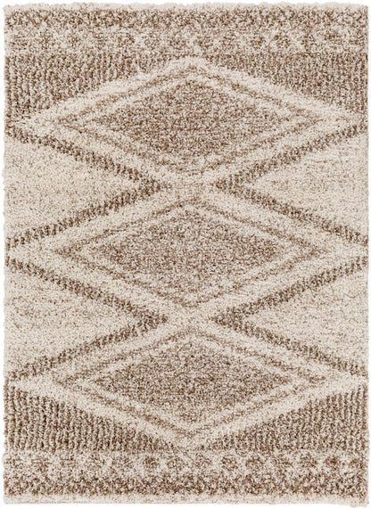 Livabliss - Capella Shag 67inx9 Machine Woven Rug - CPS2303-679_CLOSEOUT veiw 1