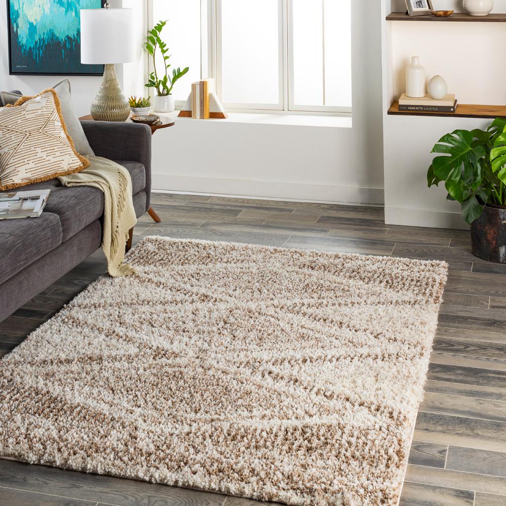 Livabliss - Capella Shag 67inx9 Machine Woven Rug - CPS2303-679_CLOSEOUT veiw 2