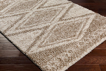 Livabliss - Capella Shag 67inx9 Machine Woven Rug - CPS2303-679_CLOSEOUT veiw 3