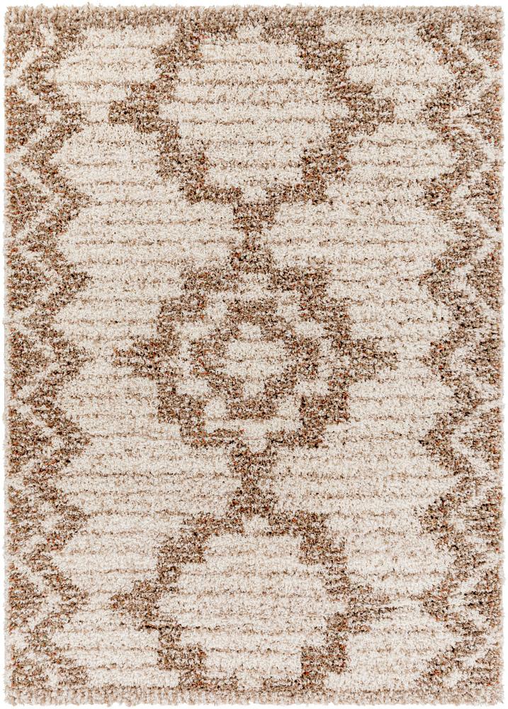 Livabliss - Capella Shag 67inx9 Machine Woven Rug - CPS2305-679_CLOSEOUT veiw 1