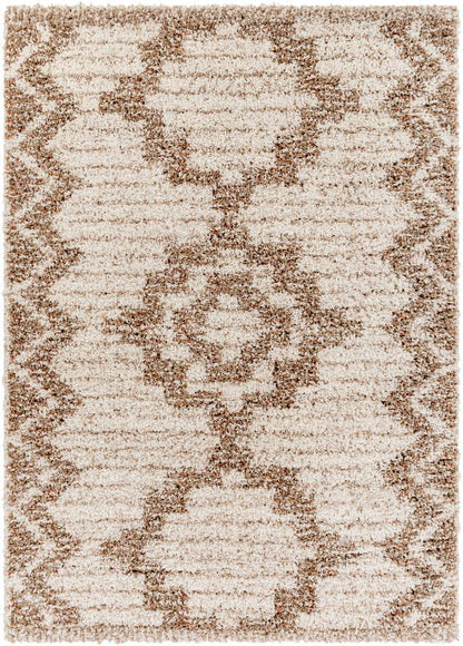 Livabliss - Capella Shag 67inx9 Machine Woven Rug - CPS2305-679_CLOSEOUT veiw 1