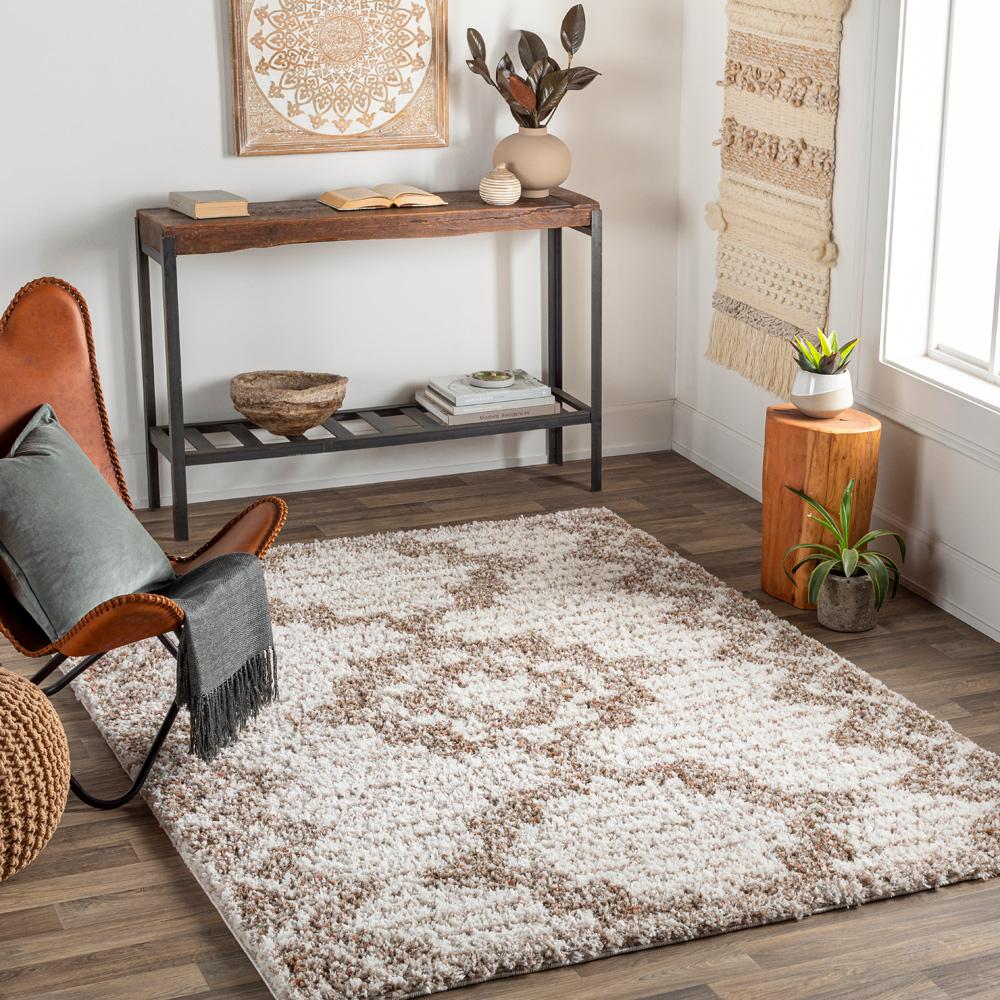 Livabliss - Capella Shag 67inx9 Machine Woven Rug - CPS2305-679_CLOSEOUT veiw 2