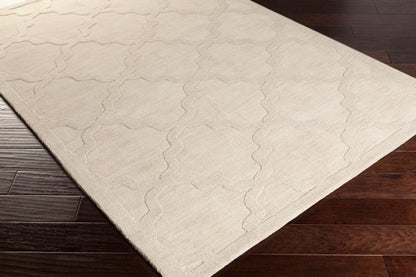 Livabliss - Central Park 6x9 Handmade Rug - AWHP4021-69 veiw 3