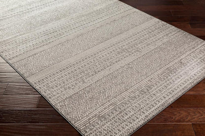 Livabliss - Chester 67inx9 Machine Woven Rug - CHE2304-679 veiw 3