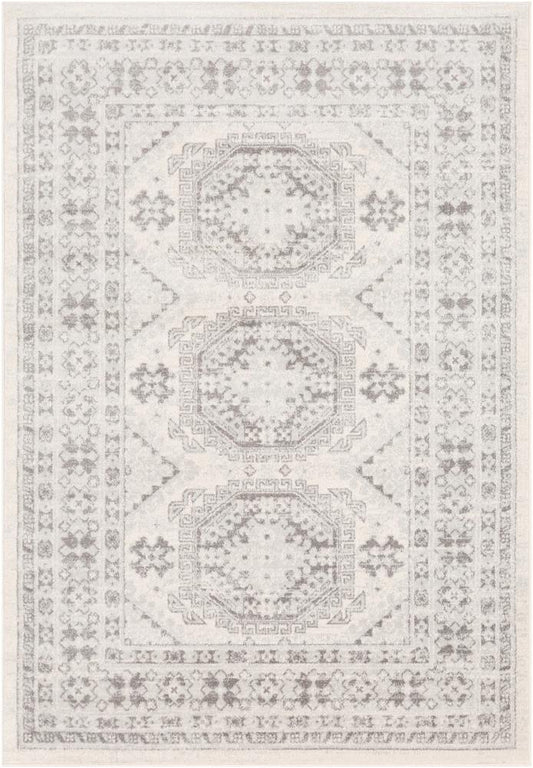 Livabliss - Chester 53inx73in Machine Woven Rug - CHE2309-5373 veiw 1