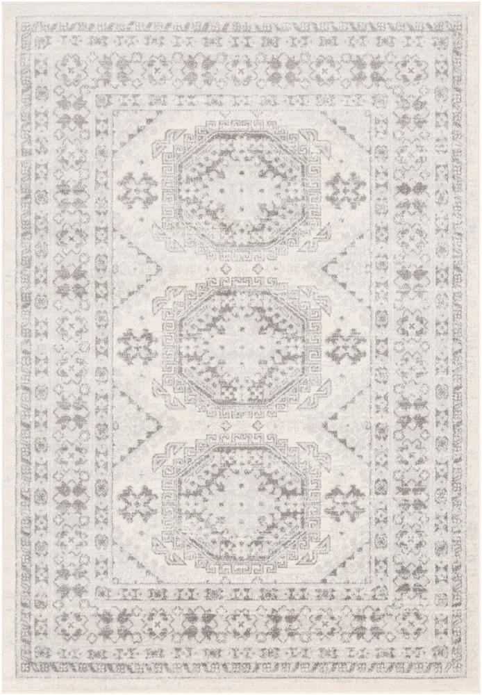 Livabliss - Chester 67inx9 Machine Woven Rug - CHE2309-679 veiw 1