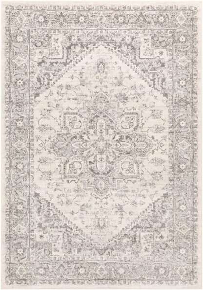 Livabliss - Chester 67inx9 Machine Woven Rug - CHE2312-679 veiw 1