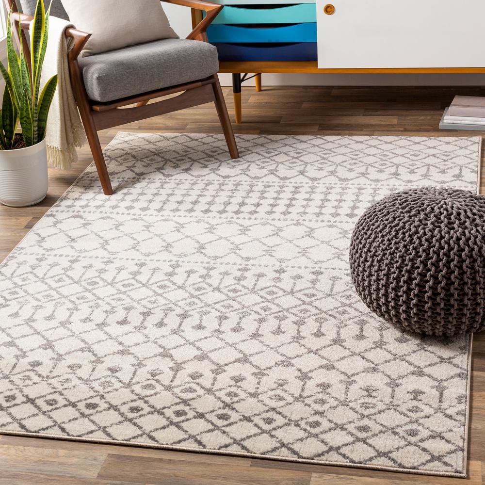 Livabliss - Chester 67inx9 Machine Woven Rug - CHE2319-679 veiw 2