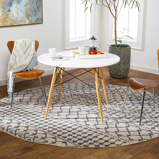 Livabliss - Chester 53inx53in Machine Woven Rug - CHE2319-53RD veiw 2