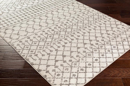 Livabliss - Chester 27inx10 Machine Woven Rug - CHE2319-2710 veiw 3