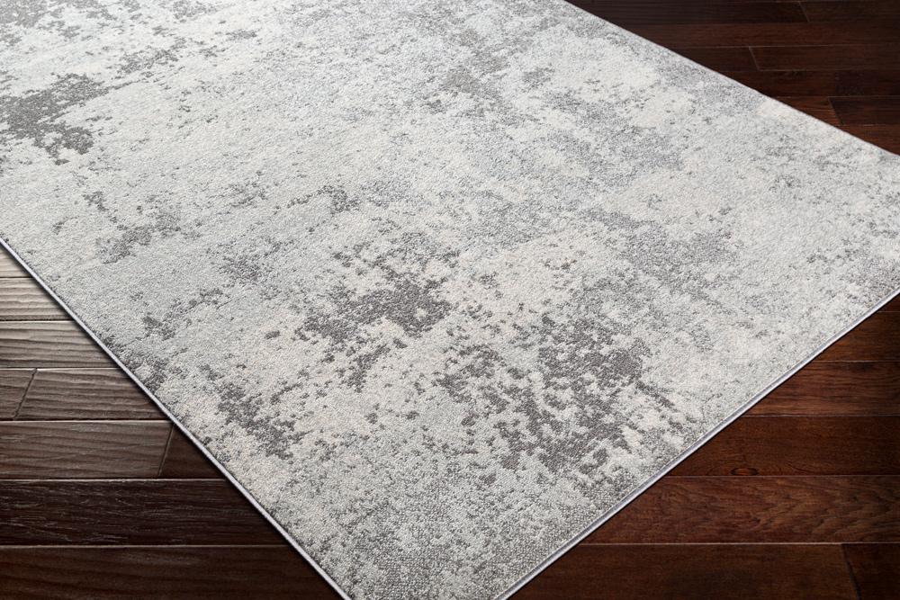 Livabliss - Chester 53inx73in Machine Woven Rug - CHE2340-5373_CLOSEOUT veiw 3