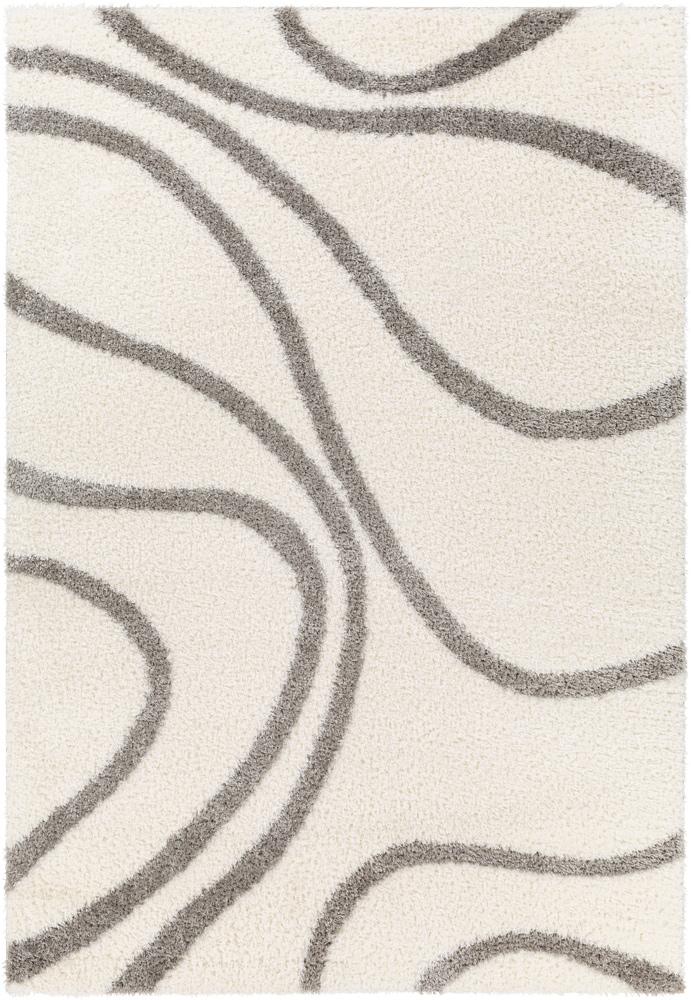 Livabliss - Cloudy Shag 67inx9 Machine Woven Rug - CDG2300-679_CLOSEOUT veiw 1