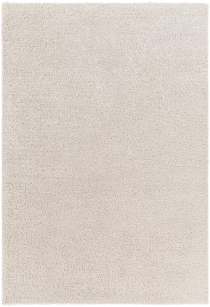 Livabliss - Cloudy Shag 67inx9 Machine Woven Rug - CDG2301-679 veiw 1