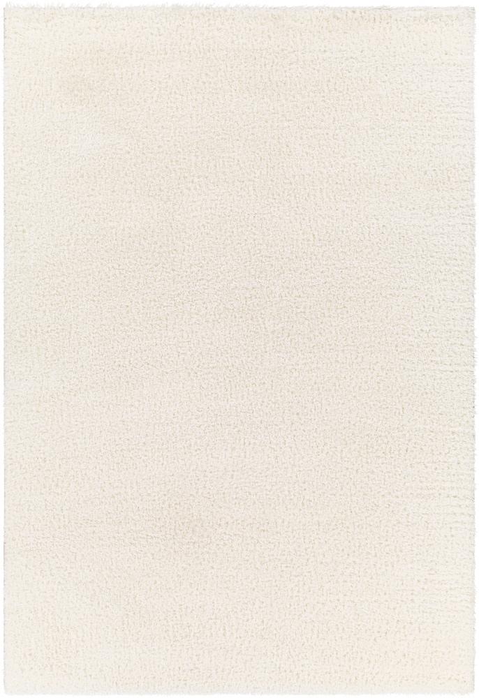 Livabliss - Cloudy Shag 53inx7 Machine Woven Rug - CDG2302-537 veiw 1